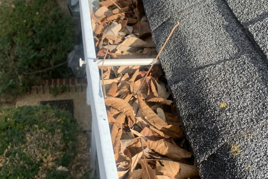 Gutter Cleaning Bella Vista AR